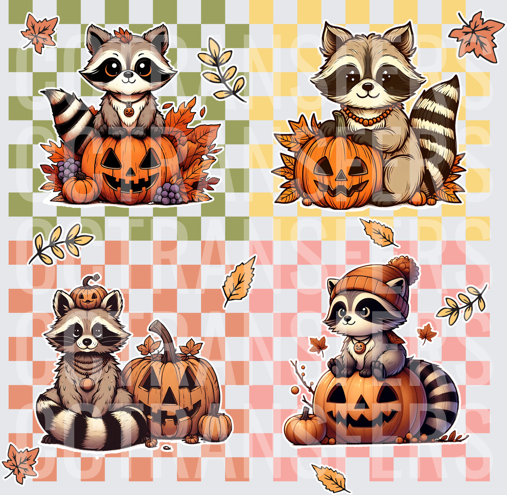 Cute Raccoon Halloween Pumpkin Fall Autumn Bundle (DTF)