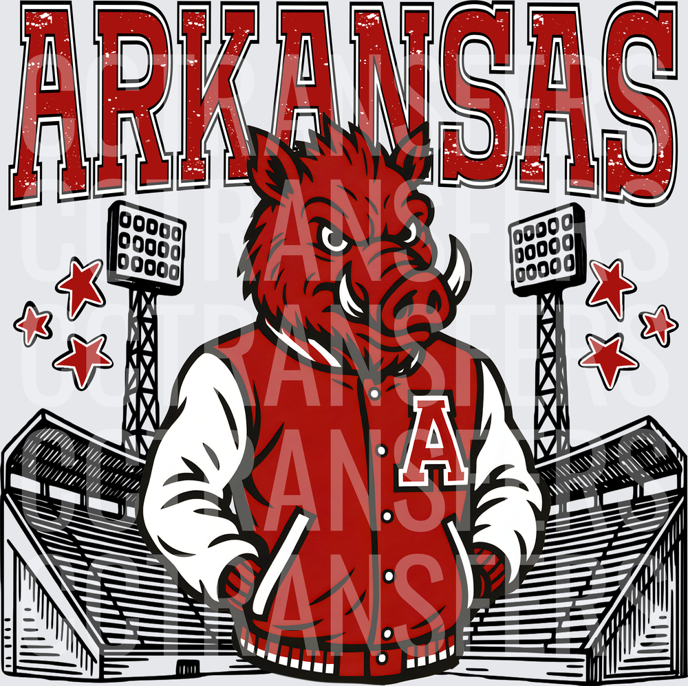 Arkansask Hog Varsity Jacket Stadium Stars (DTF)