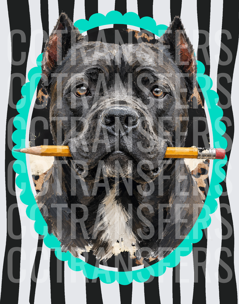 Dark Brindle Pit Bull Holding Pencil Teal Frame Stripes (DTF)