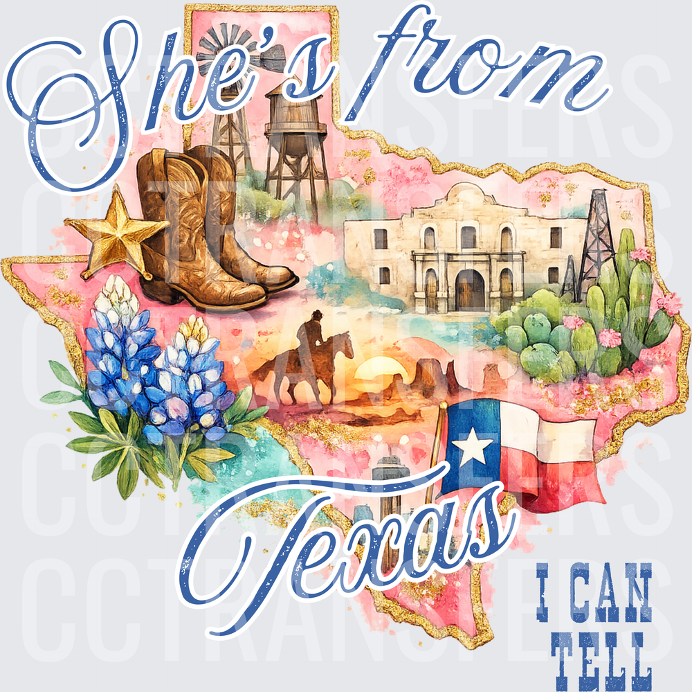 She's From Texas I Can Tell State Collage (DTF)