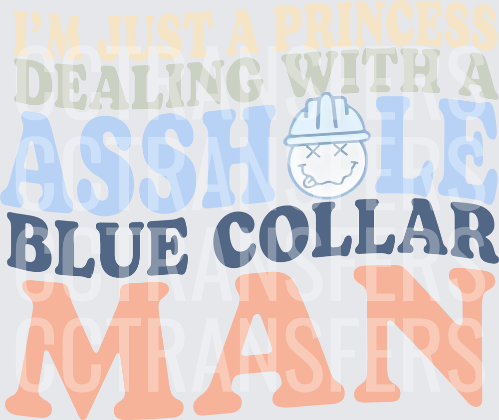 I'm Just A Princess Dealing With An Asshole Blue Collar Man (DTF)