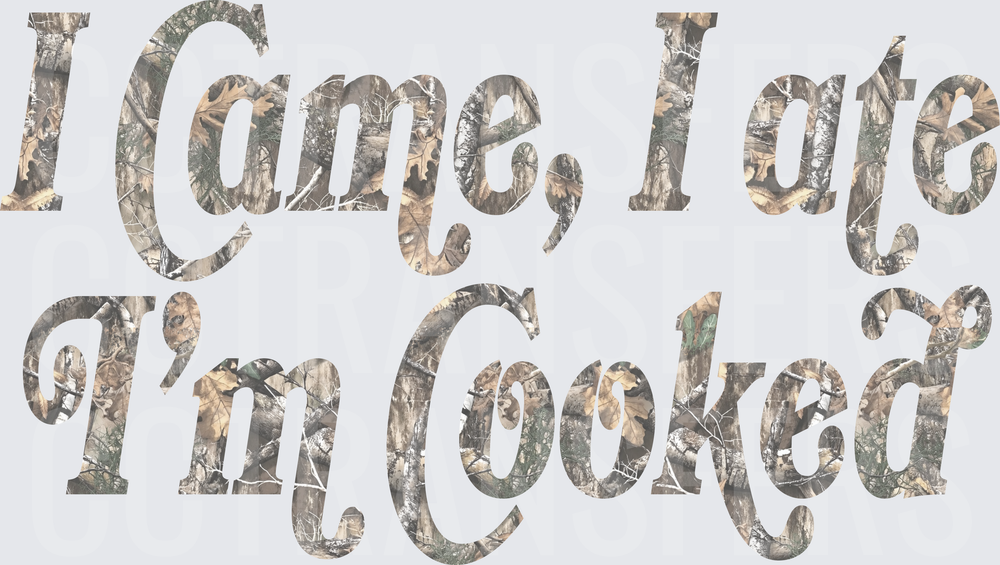 I Came I Ate I'm Cooked Camo Script (DTF)