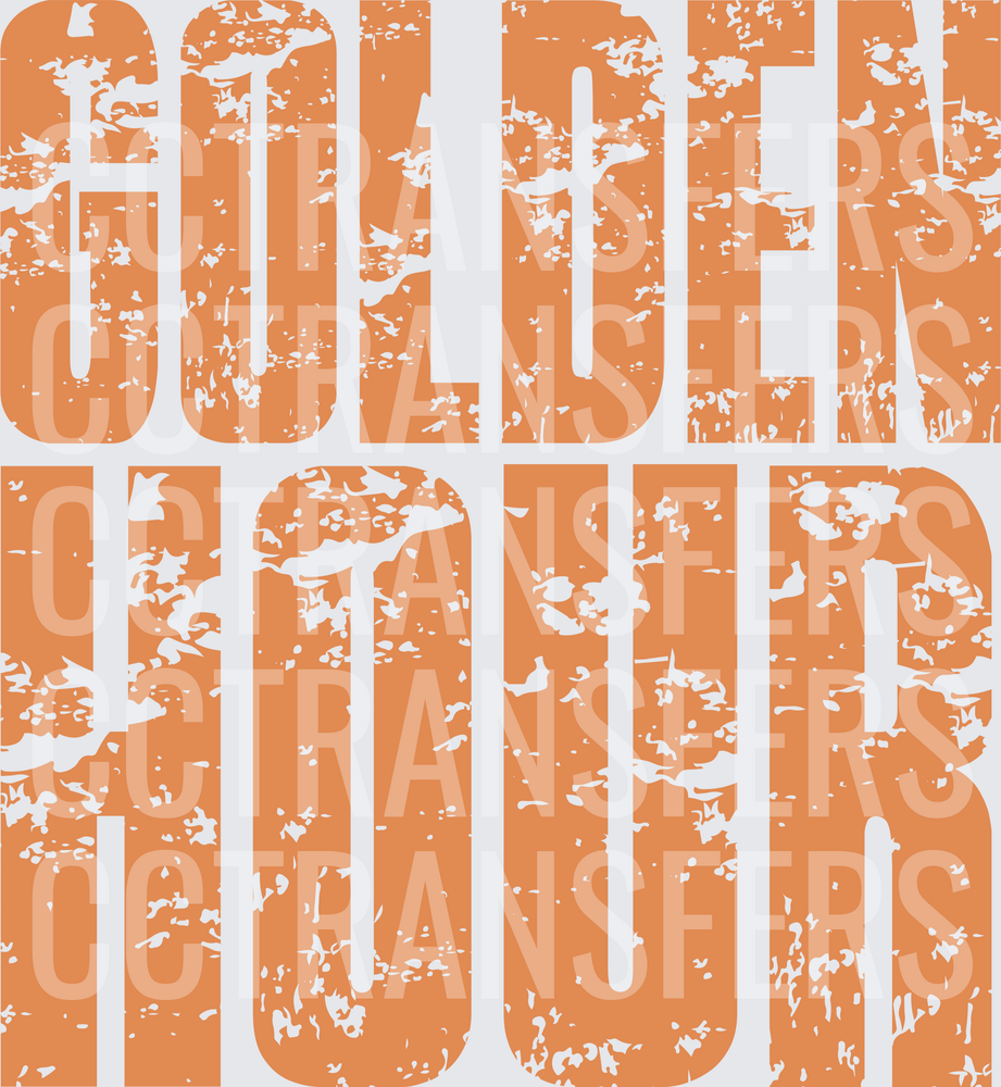 Golden Hour Distressed Bold Typography (DTF)