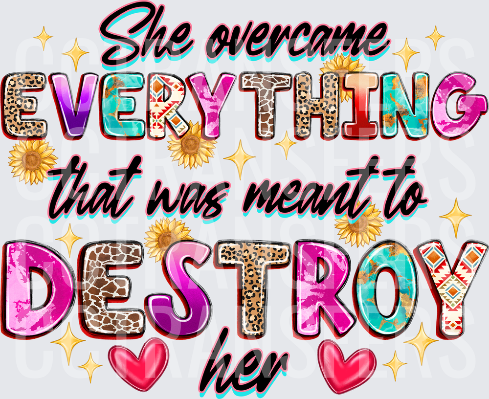 She Overcame Everything That Was Meant To Destroy Her (DTF)