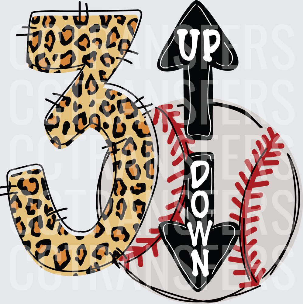 3 Up 3 Down Leopard Print Baseball (DTF)