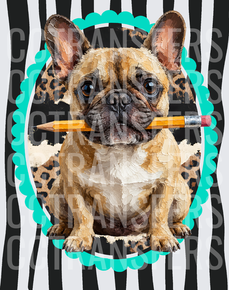 Fawn French Bulldog Holding Pencil Teal Scallop Frame (DTF)