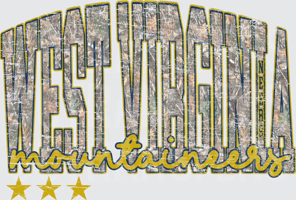 West Virginia Mountaineers Camo Distressed Stars (DTF)