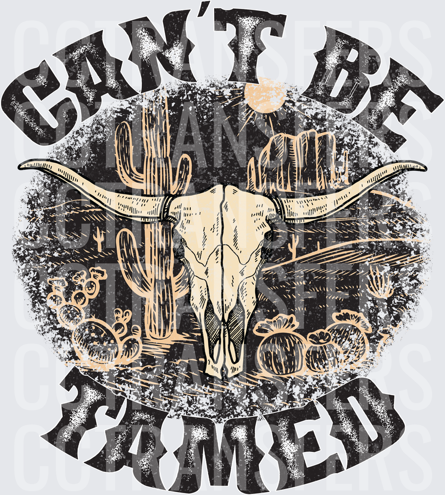 Can't Be Tamed Longhorn Skull Desert Western (DTF)