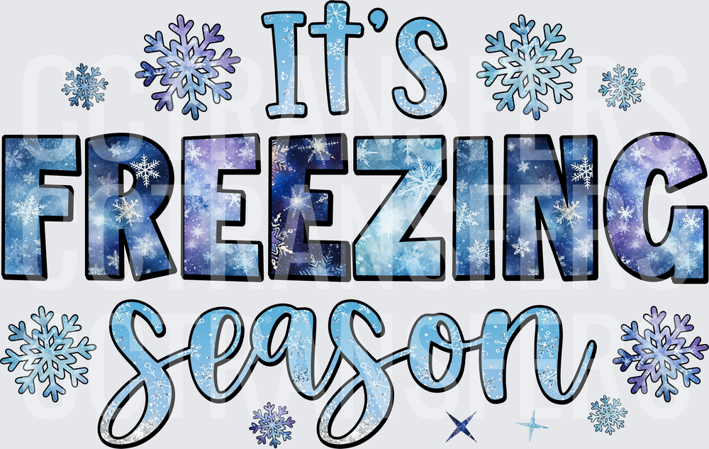 It's Freezing Season Snowflake Winter Typography (DTF)