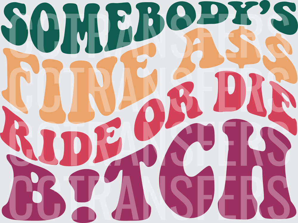 Somebody's Fine Ass Ride Or Die B!tch Retro Wavy Text (DTF)