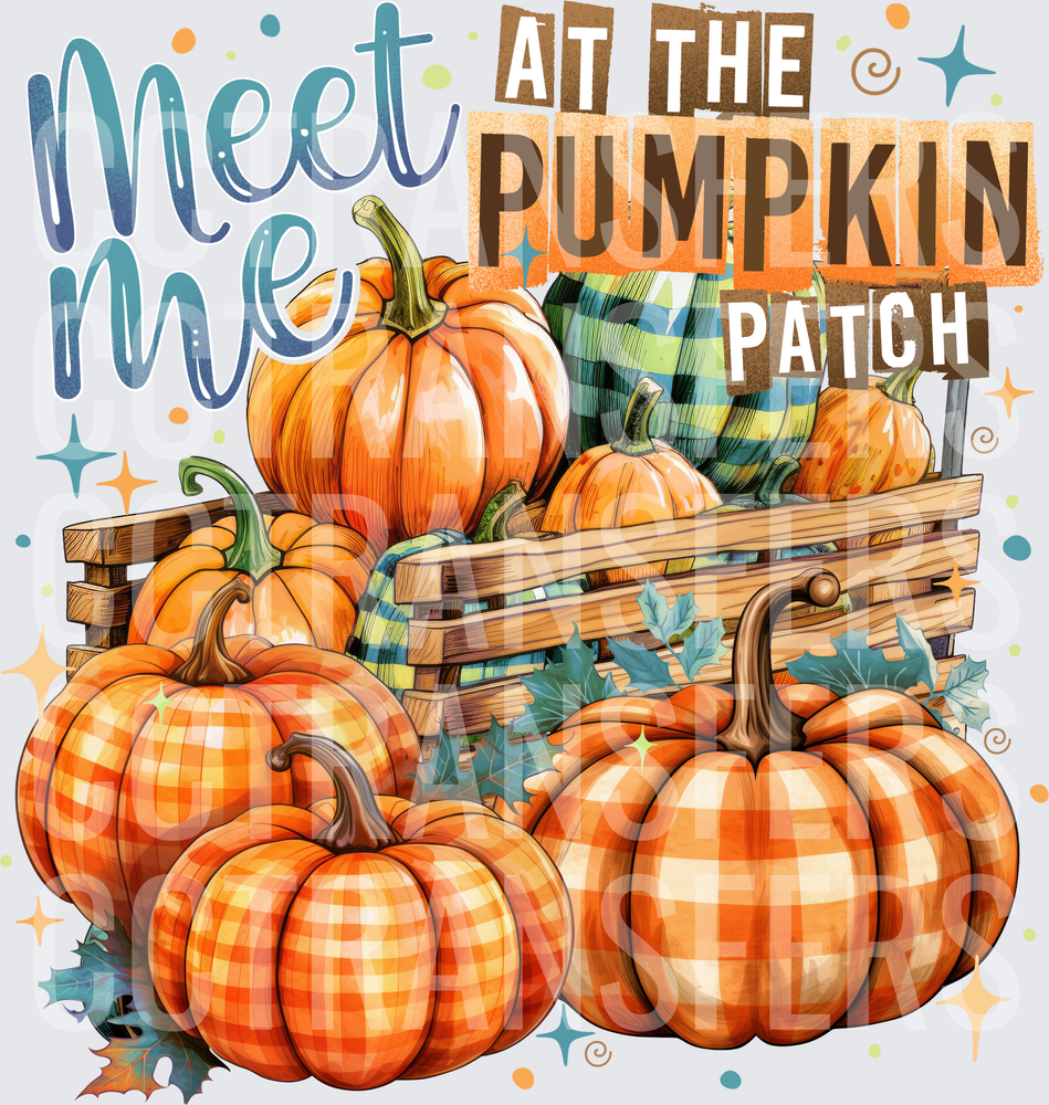 Meet Me At The Pumpkin Patch Plaid Pumpkins Crate (DTF)