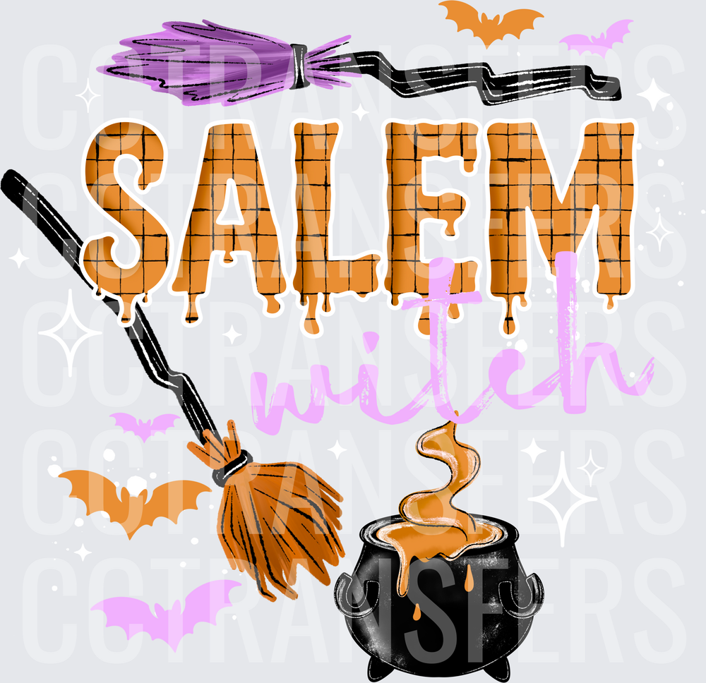 Salem Witch Broomstick Cauldron Bats Halloween (DTF)