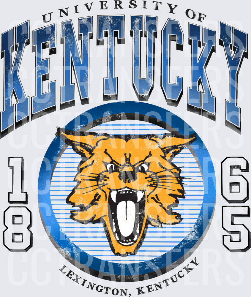 Vintage Wildcat Mascot Circle Logo Est 1865 Distressed (DTF)