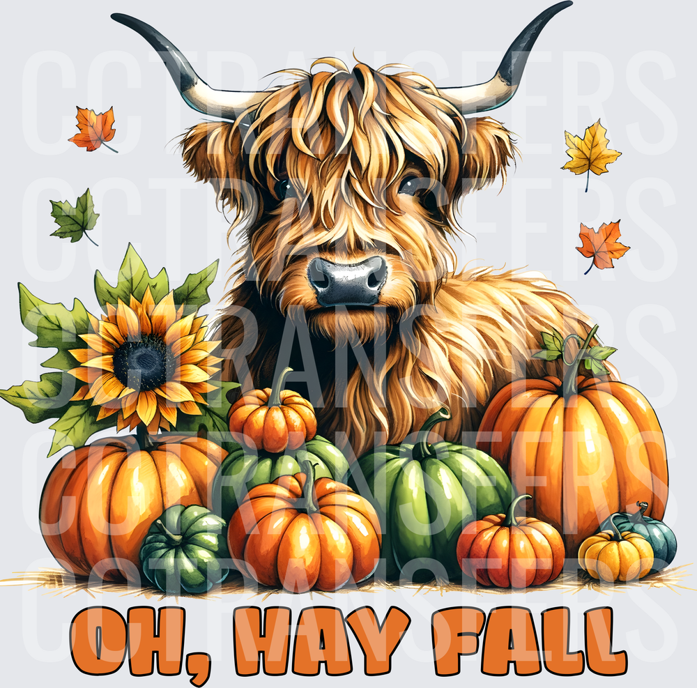 Oh Hay Fall Fluffy Highland Cow Pumpkins Autumn (DTF)
