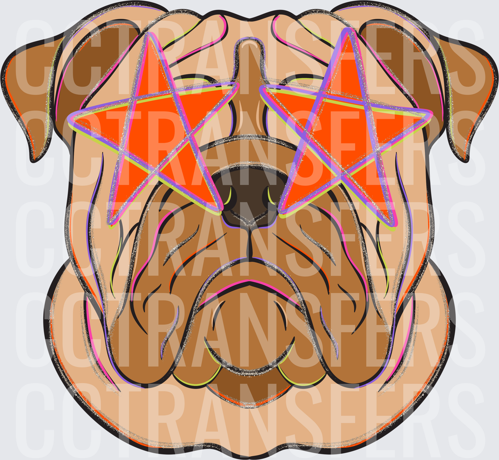Wrinkly Dog Face with Orange Star Sunglasses (DTF)