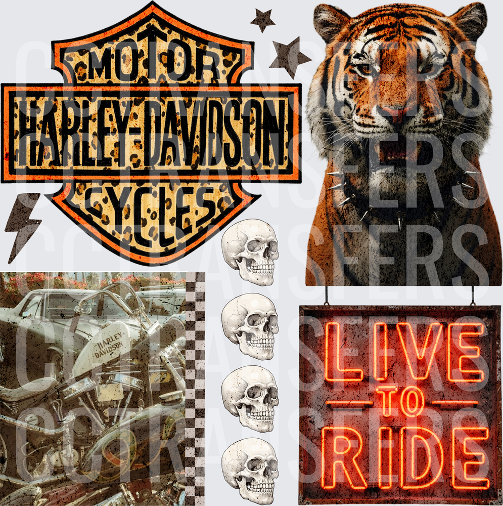 Biker Gang Sheet Tiger Skulls Live To Ride Lightning (DTF)
