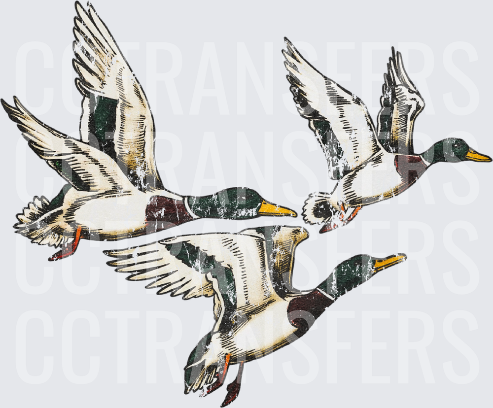 Vintage Distressed Flying Mallard Ducks Flock (DTF)