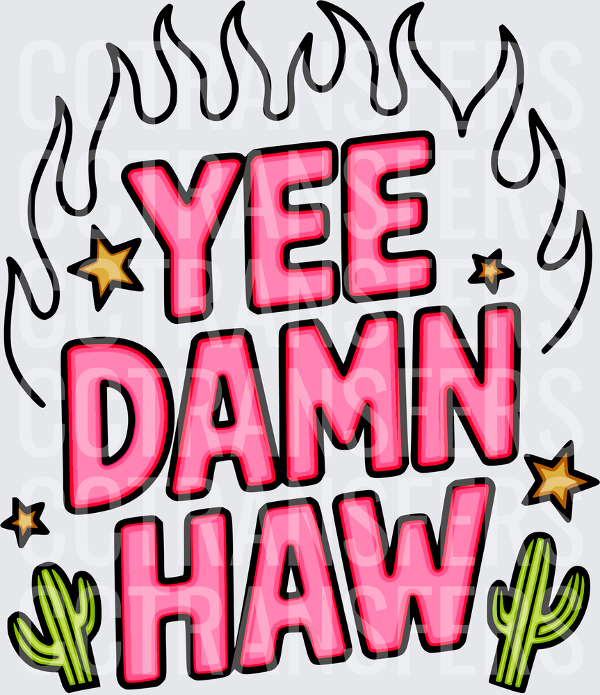 Yee Damn Haw Pink Bold Text Flames Cactus Stars (DTF)