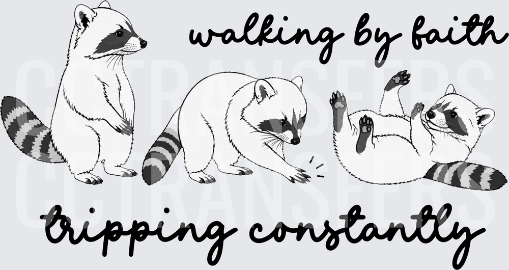 Walking By Faith Tripping Constantly Raccoon Trio (DTF)