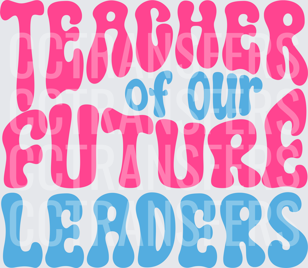 Teacher of Our Future Leaders Retro Groovy Typography (DTF)
