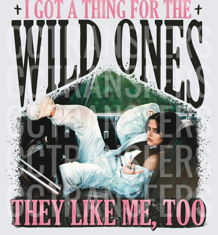 I Got A Thing For The Wild Ones They Like Me Too (DTF)