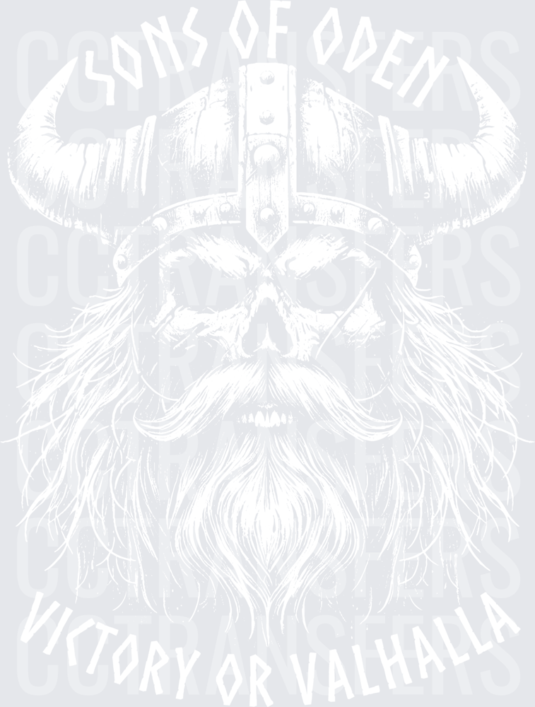 Skull Warrior Horned Helmet Dripping Ink Norse Design white (DTF)
