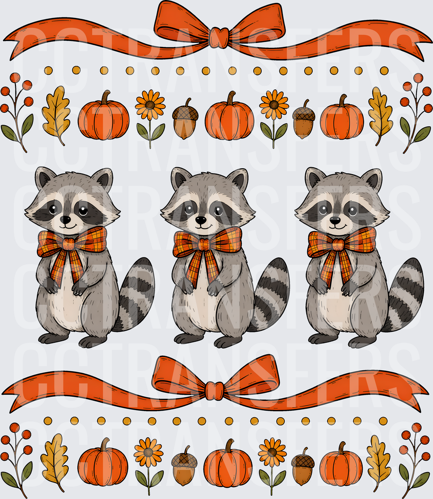 Trio of Cute Raccoons Fall Harvest Autumn Border (DTF)