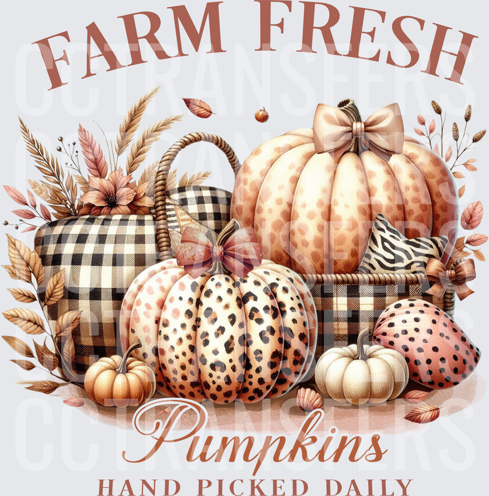 Farm Fresh Pumpkins Hand Picked Daily Leopard Plaid (DTF)
