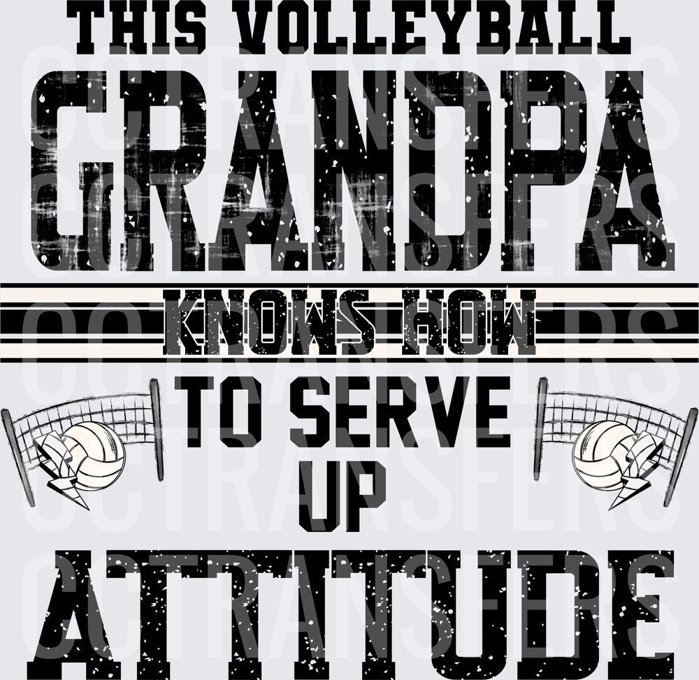 This Volleyball Grandpa Knows How To Serve Up Attitude (DTF)