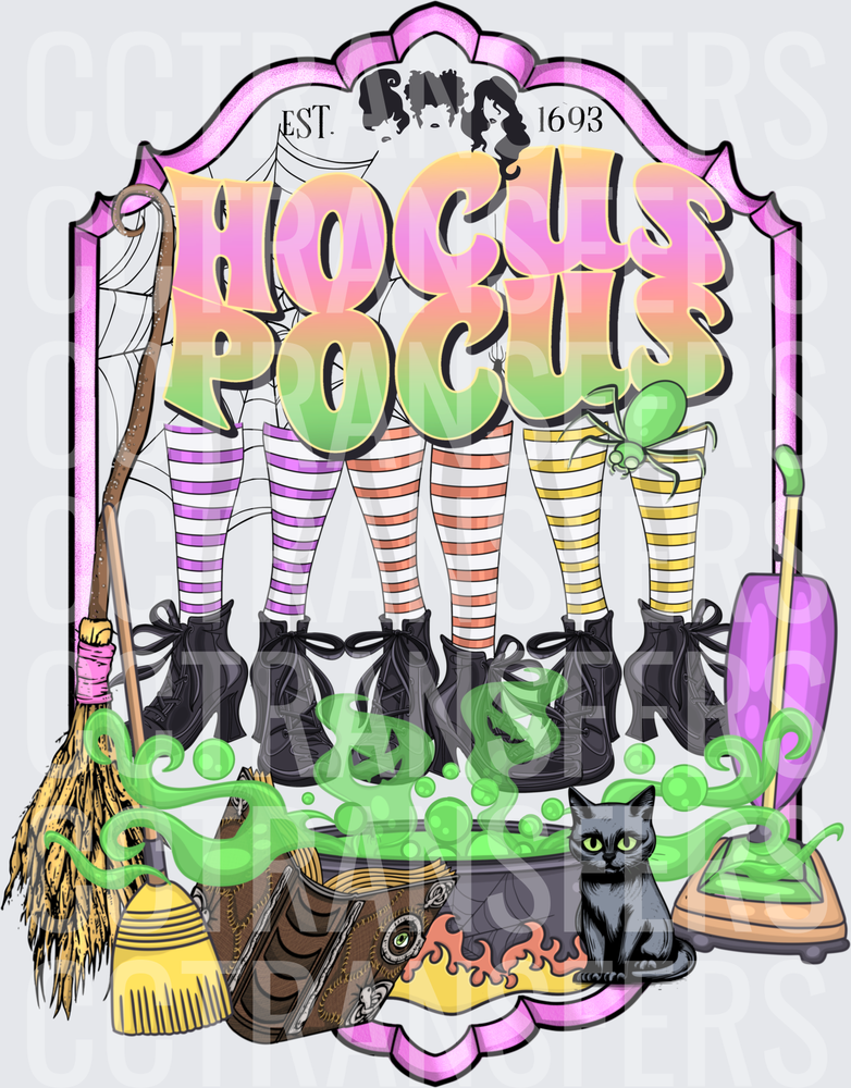 Hocus Pocus Est 1693 Witch Sisters Striped Legs Cauldron (DTF)