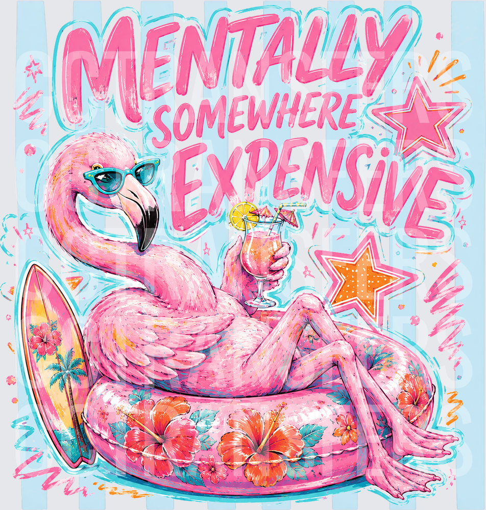 Mentally Somewhere Expensive Flamingo Sunglasses Pool Float (DTF)