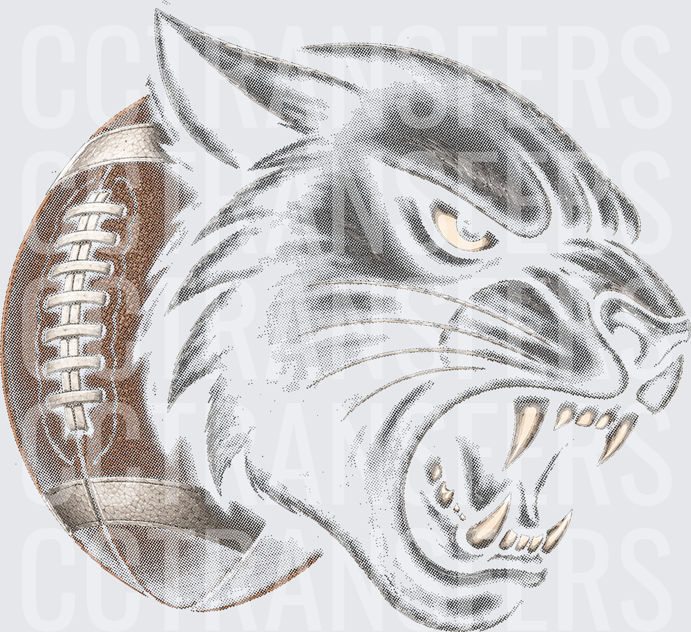 Fierce Wildcat Snarling Over Football (DTF)