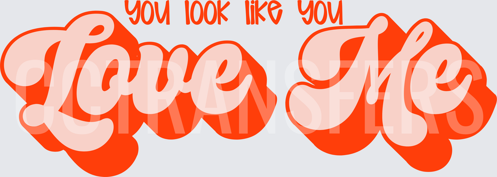 You Look Like You Love Me Retro Groovy Text (DTF)