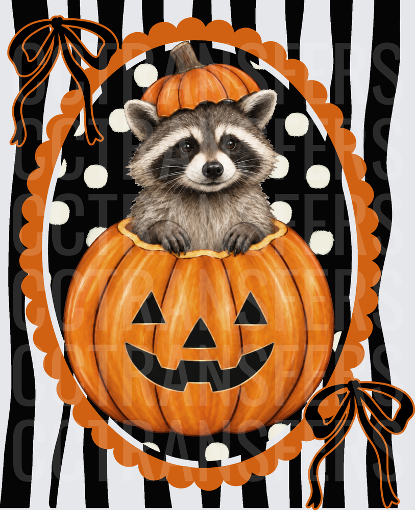 Cute Raccoon Sitting in Halloween Jack-O-Lantern Pumpkin (DTF)
