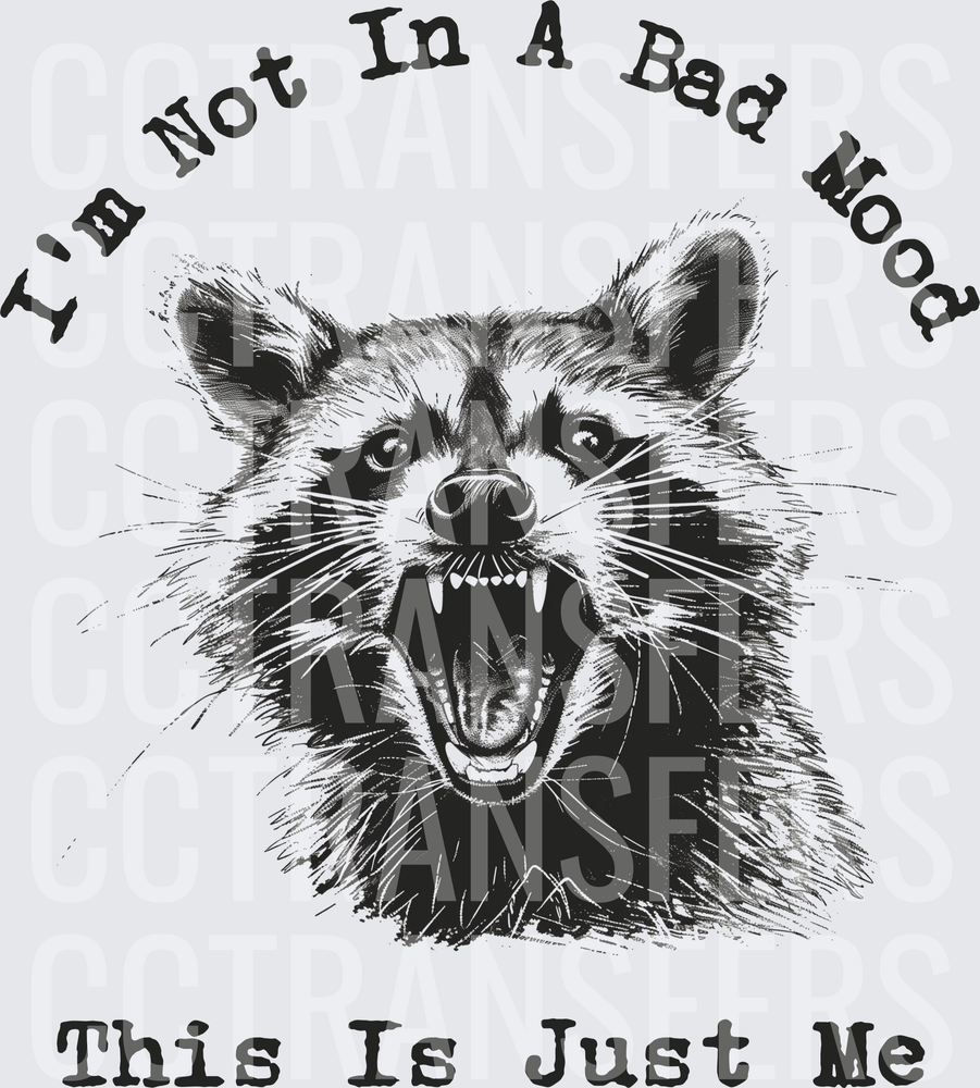 Snarling Raccoon I'm Not In A Bad Mood This Is Just Me (DTF)