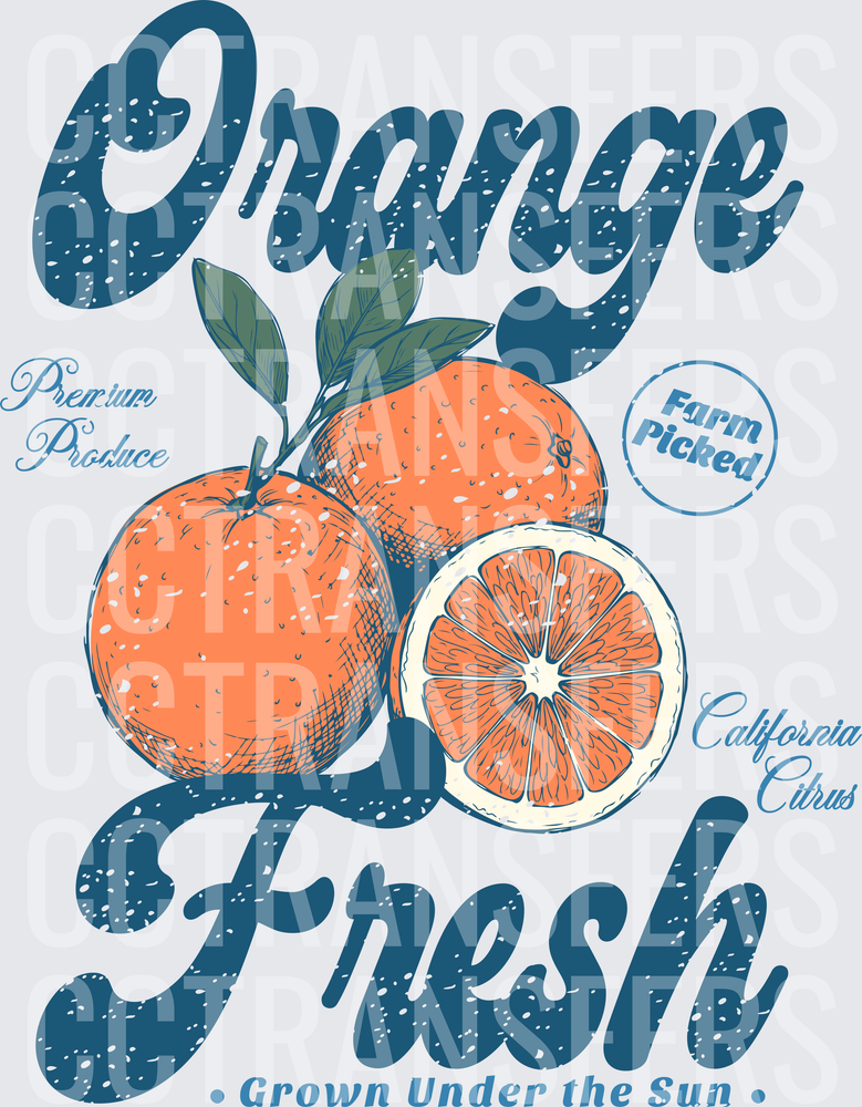 Orange Fresh California Citrus Farm Picked Vintage (DTF)