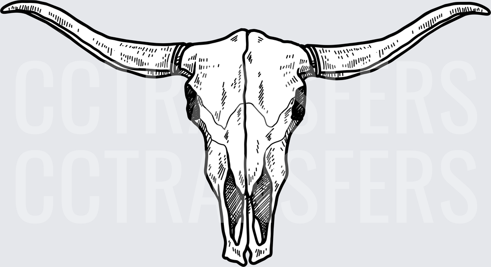 Black and White Longhorn Skull Sketch (DTF)