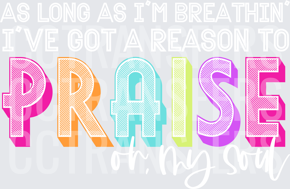 Colorful Retro Bold PRAISE Lettering with Shadow Effect (DTF)