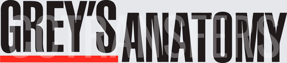 Grey's Anatomy Bold Logo with Red Accent Bar (DTF)