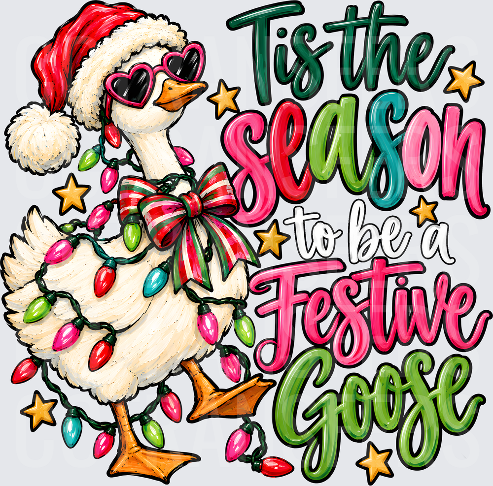 Tis The Season To Be A Festive Goose Santa Hat Duck (DTF)