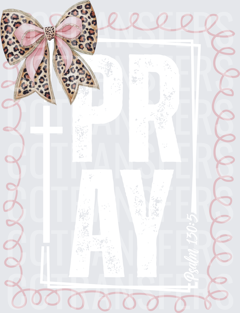 Leopard Print Bow Pink Swirl Frame Border (DTF)