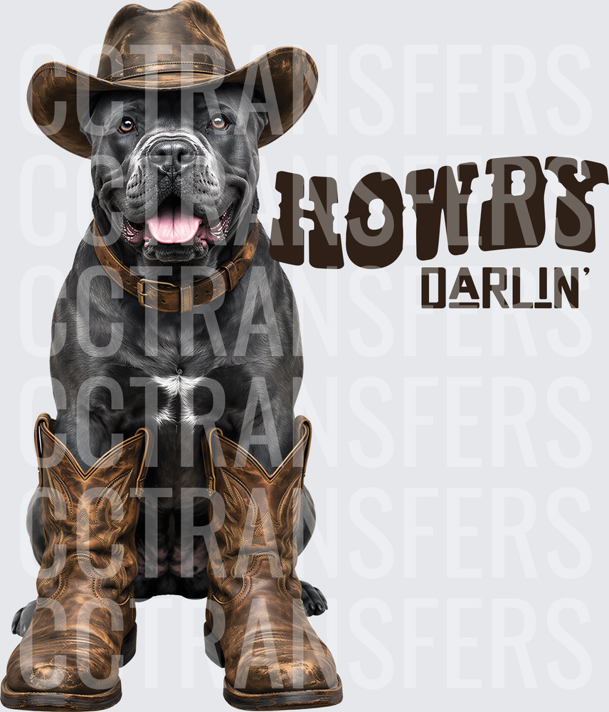 Howdy Darlin' Black Mastiff Cowboy Hat Boots (DTF)