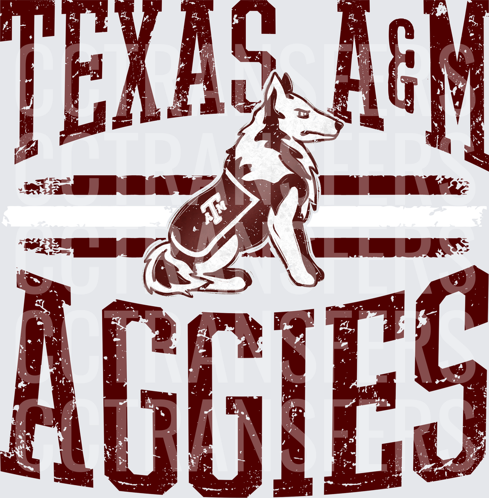 Vintage Texas A&M (1)