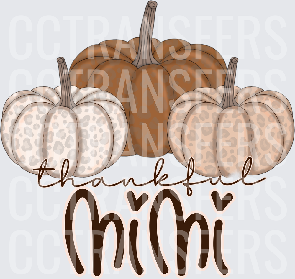Thankful Mimi Leopard Pumpkin Trio Fall (DTF)