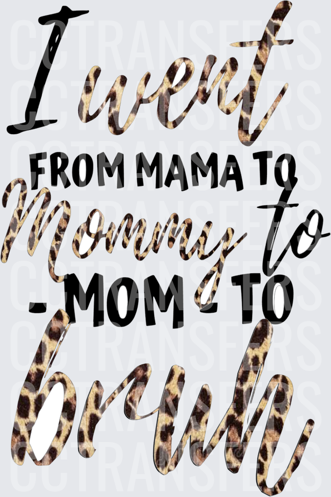 I Went From Mama To Mommy To Mom To Bruh Leopard Print (DTF)