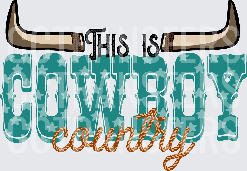 This Is Cowboy Country Longhorn Stars Western (DTF)