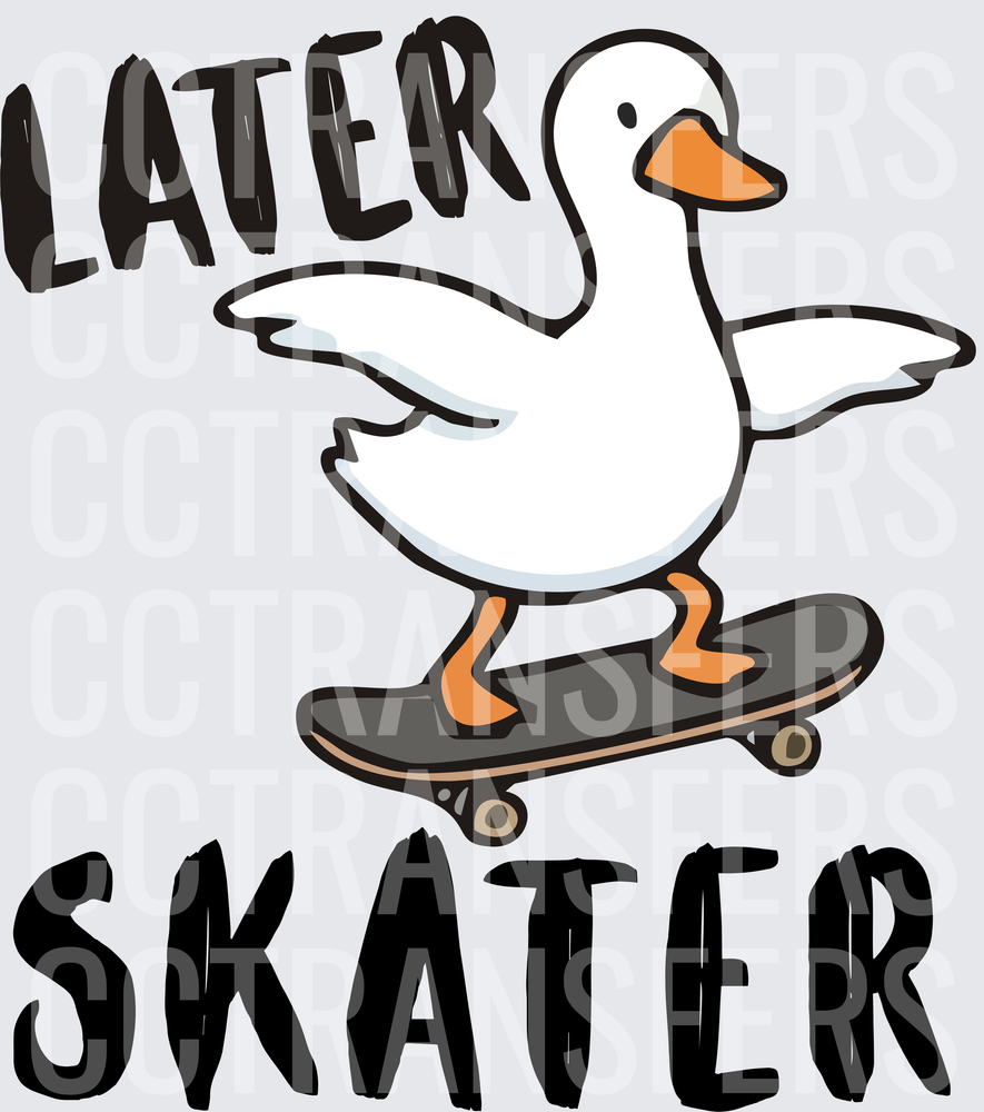 Later Skater Cartoon Goose Riding Skateboard (DTF)