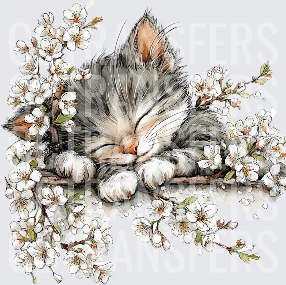 Sleeping Kitten on Cherry Blossom Branch (DTF)