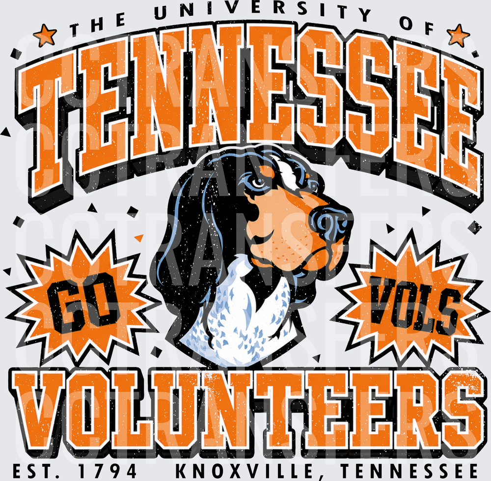 Go Vols Tennessee Volunteers Est. 1794 Knoxville Hound (DTF)