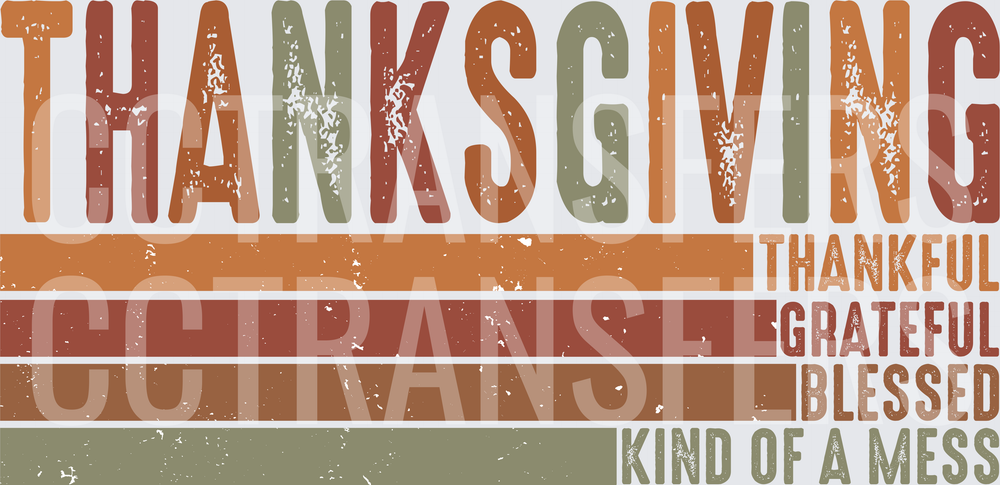 Thanksgiving Thankful Grateful Blessed Kind of a Mess (DTF)